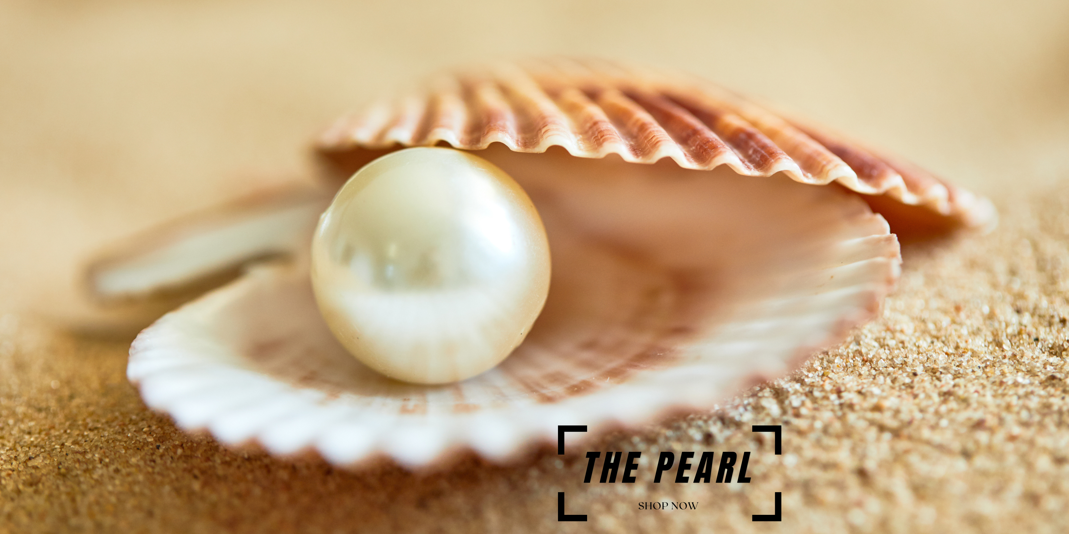 Image Slider
